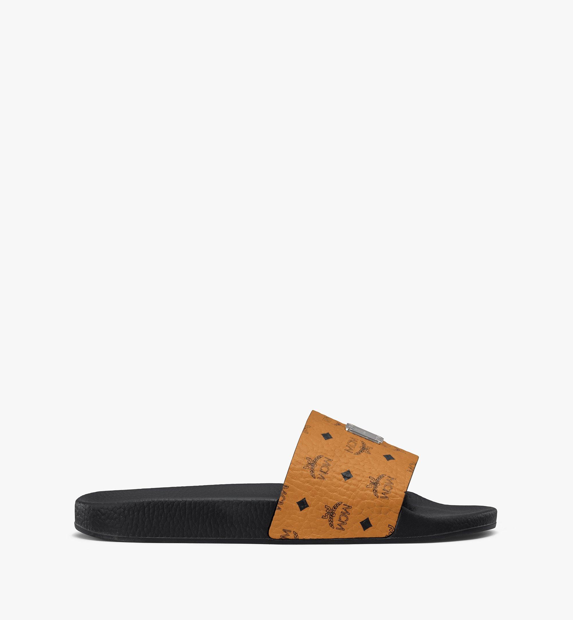 mcm slides