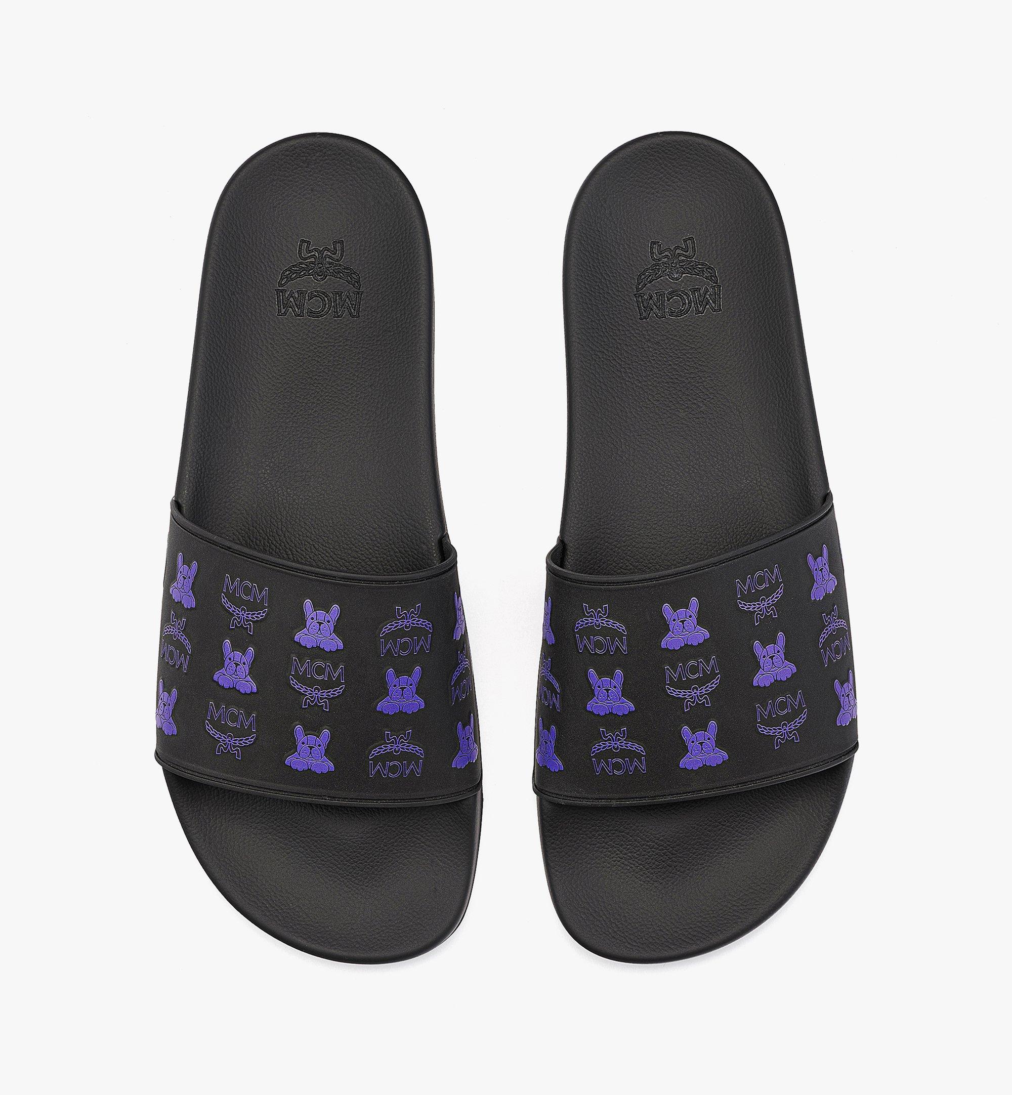 mcm visetos slides