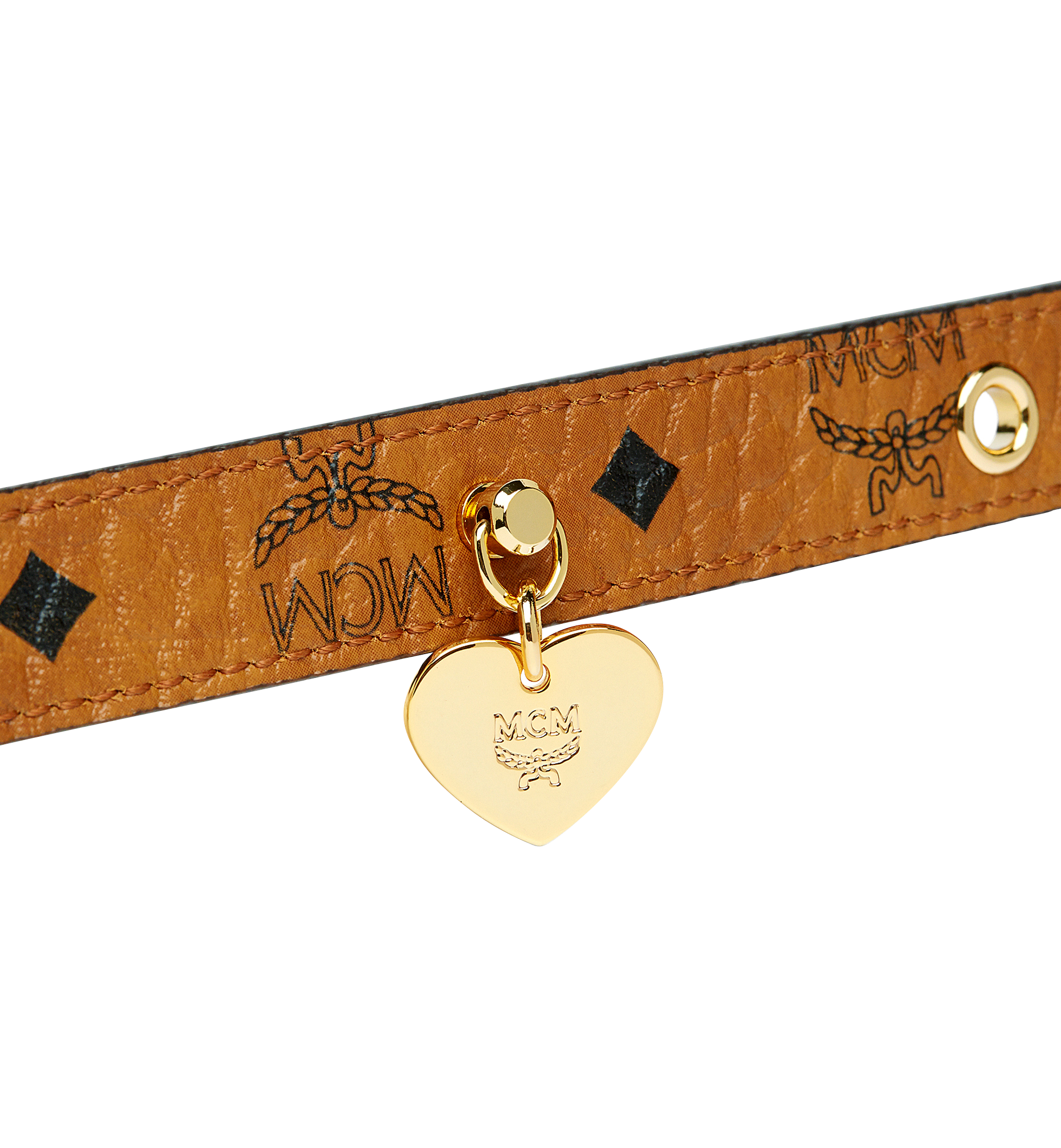 different types of schnauzers