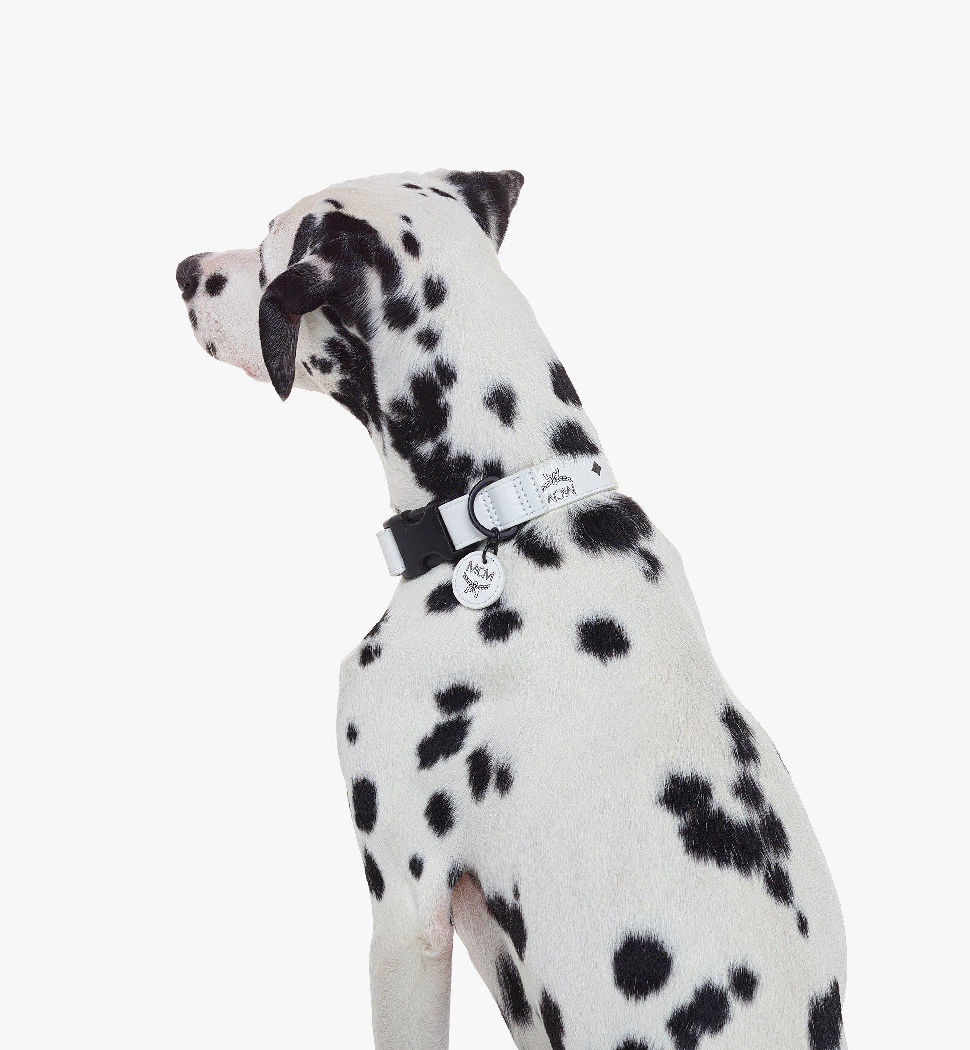 [MCM]★韓国人気★ Visetos Pet Collar Adjustable / 28cm-46cm Pet Collar in Visetos White | MCM ®JP