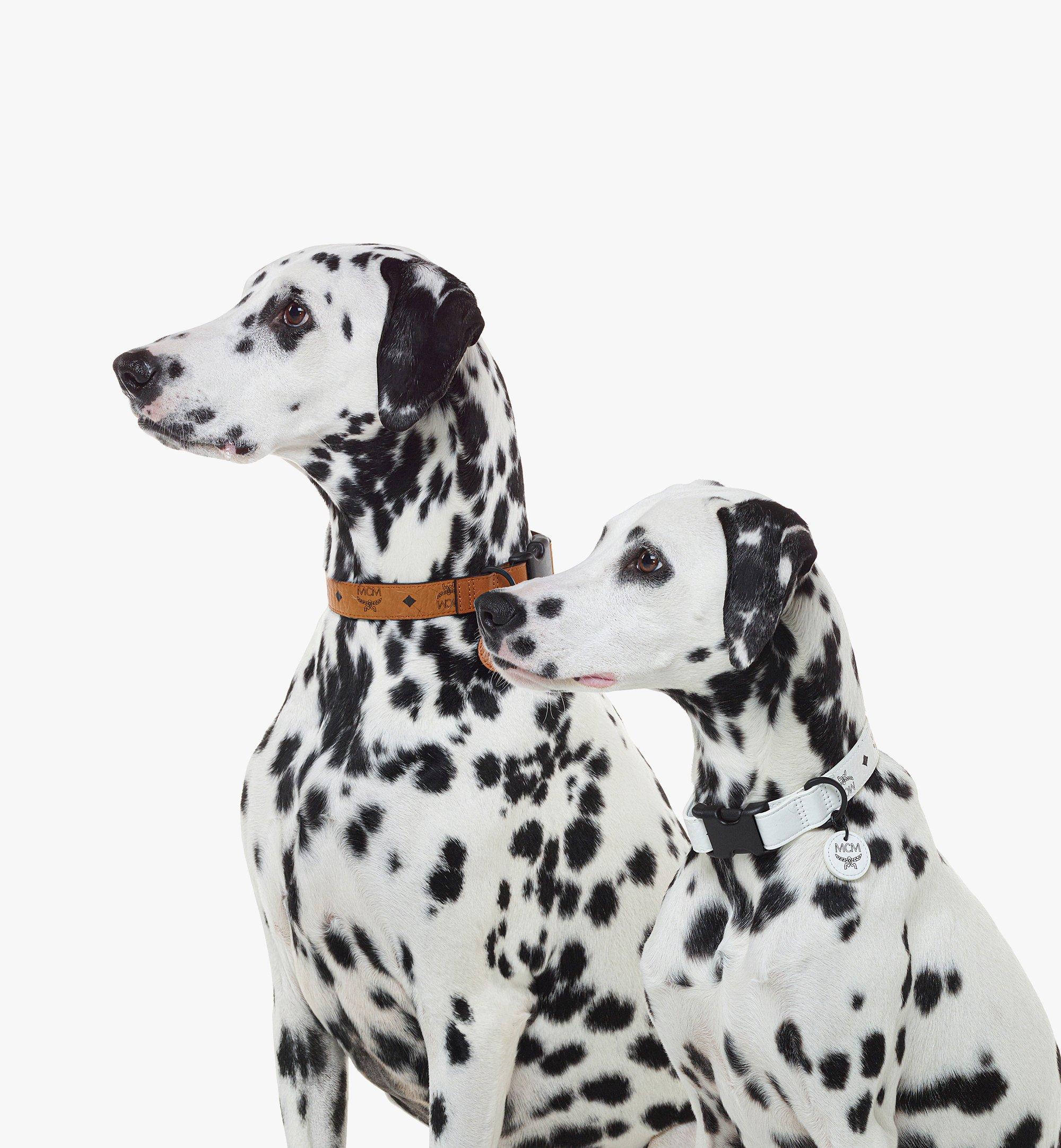 [MCM]★韓国人気★ Visetos Pet Collar Gifts for Pets | MCM® US
