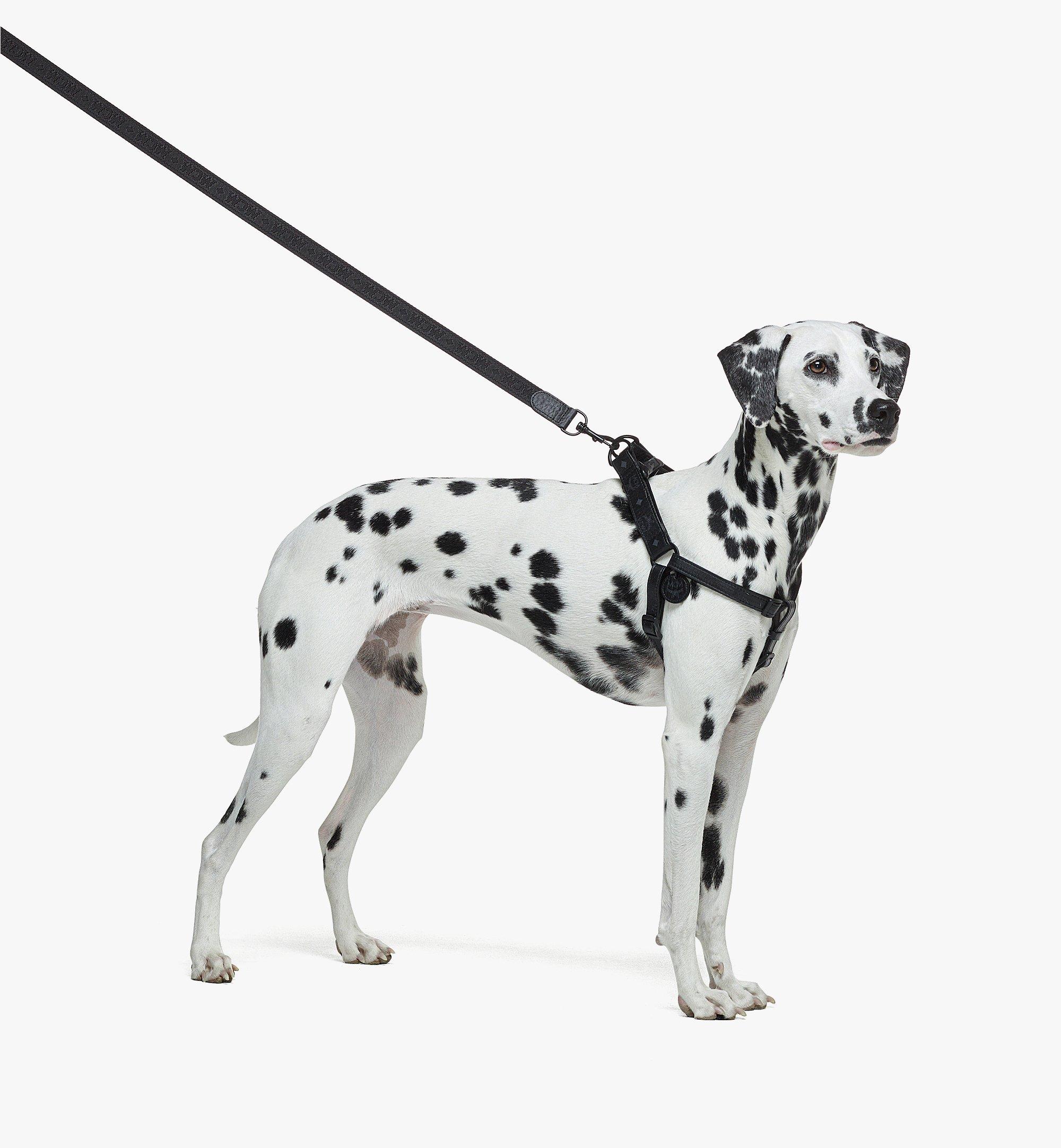 Strap Length - 130cm Pet Leash in Visetos Black | MCM ®US