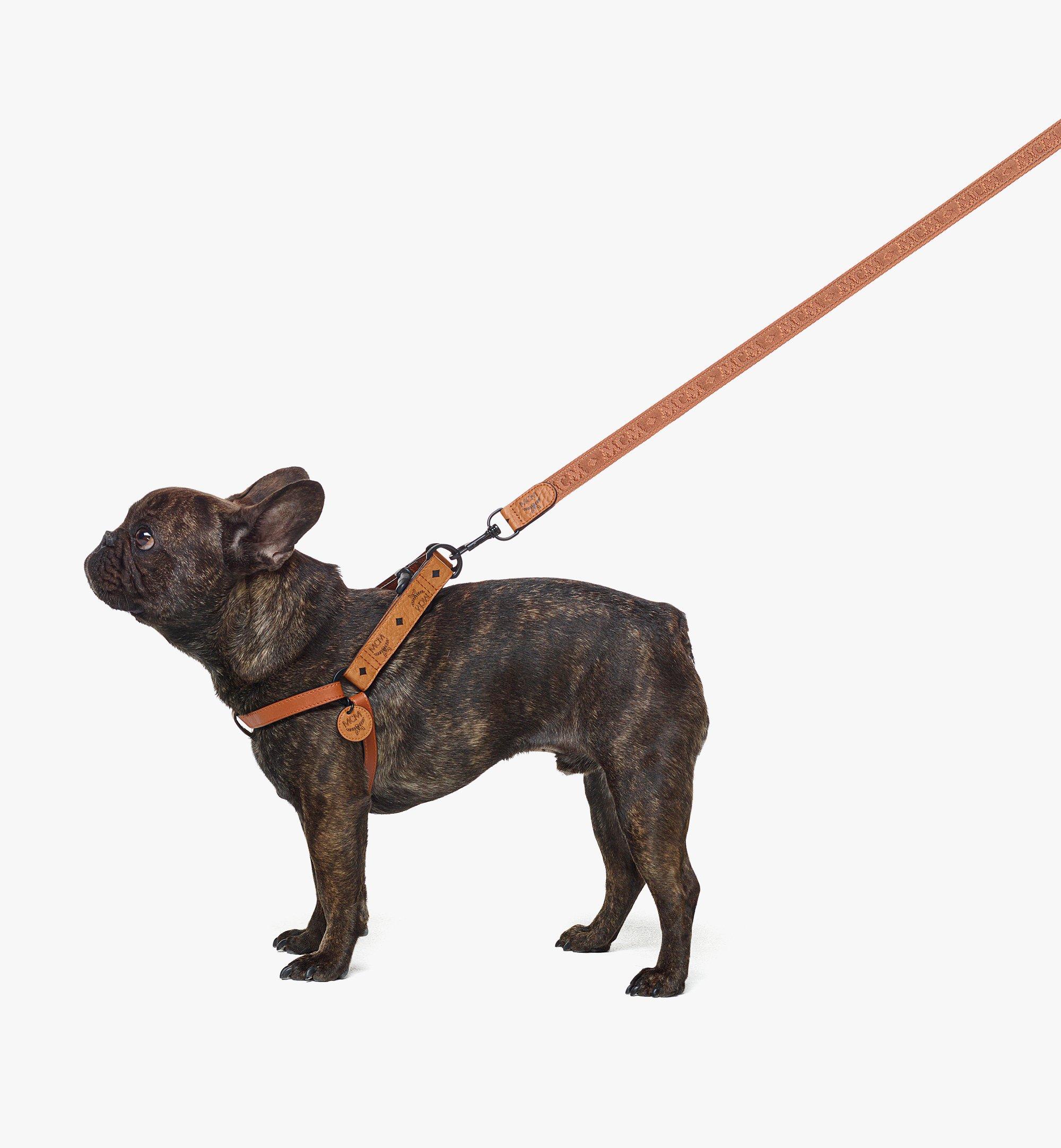 Mcm dog leash sale