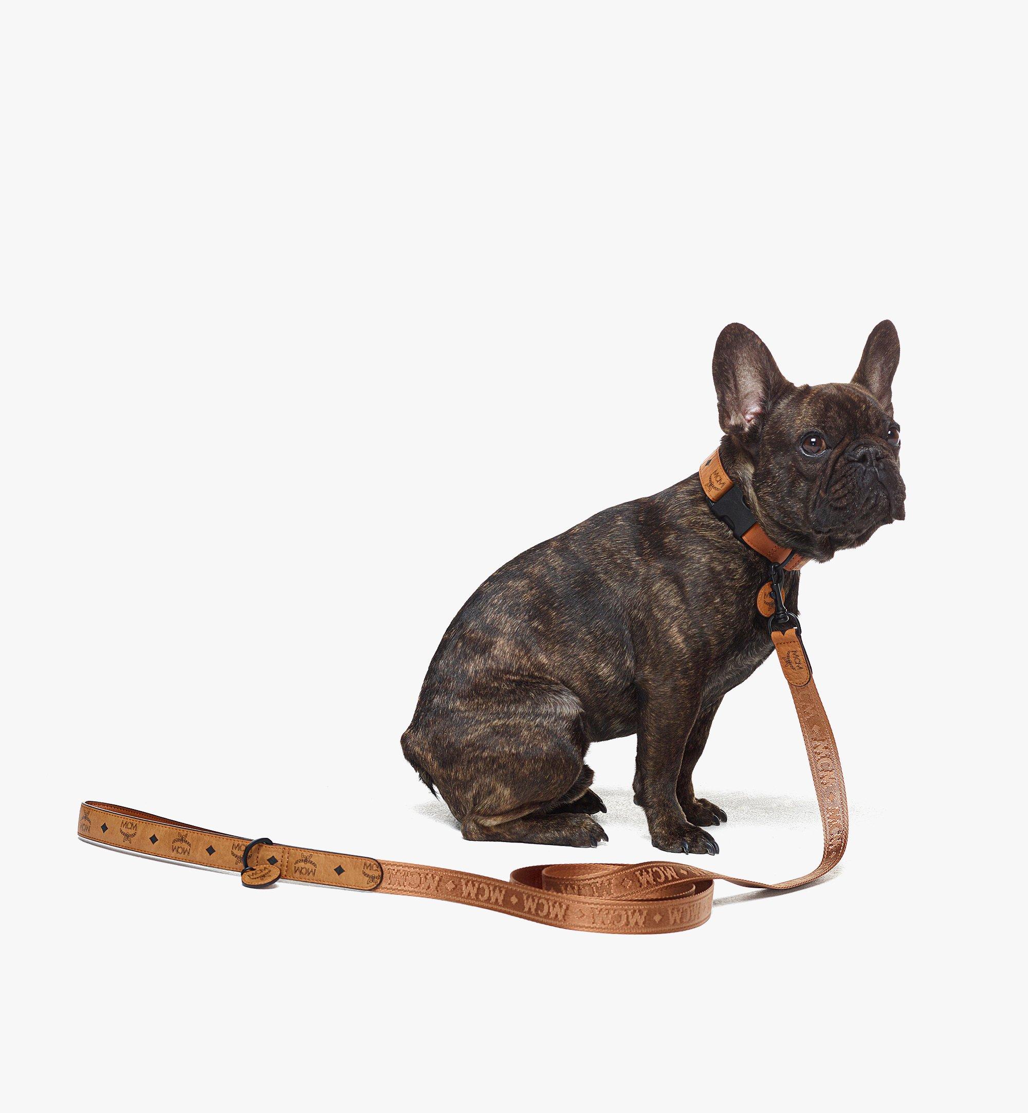 Pet Leash Visetos
