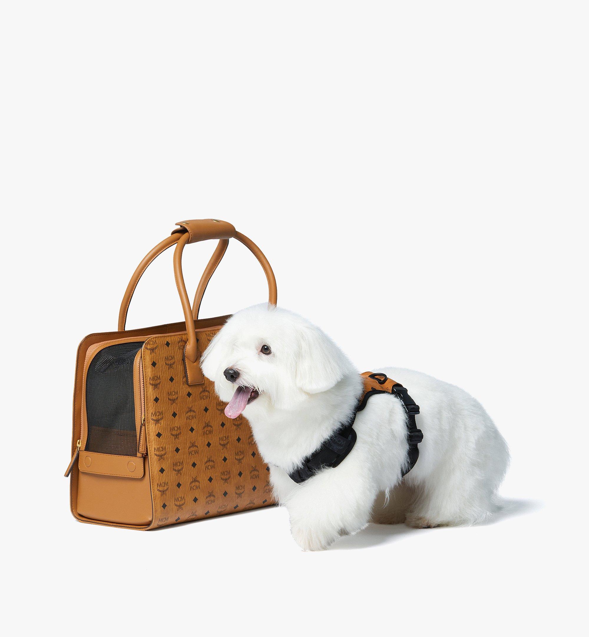 mcm pet carrier