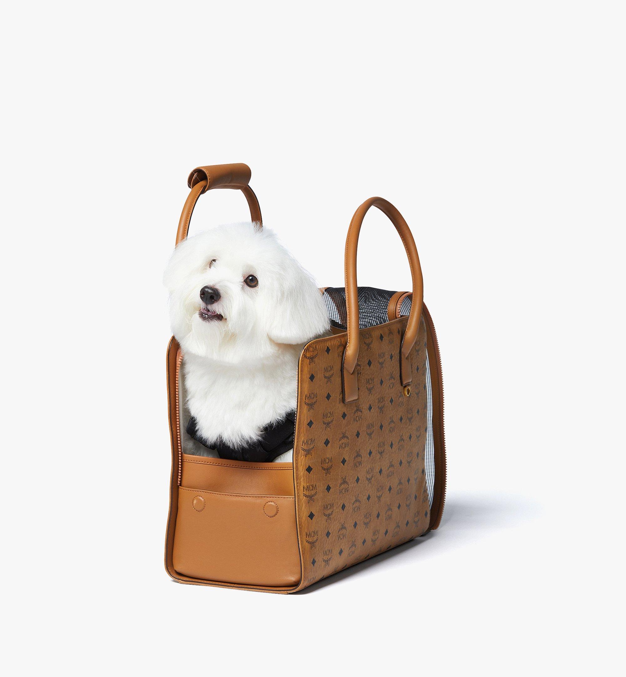 Pet Carrier in Visetos