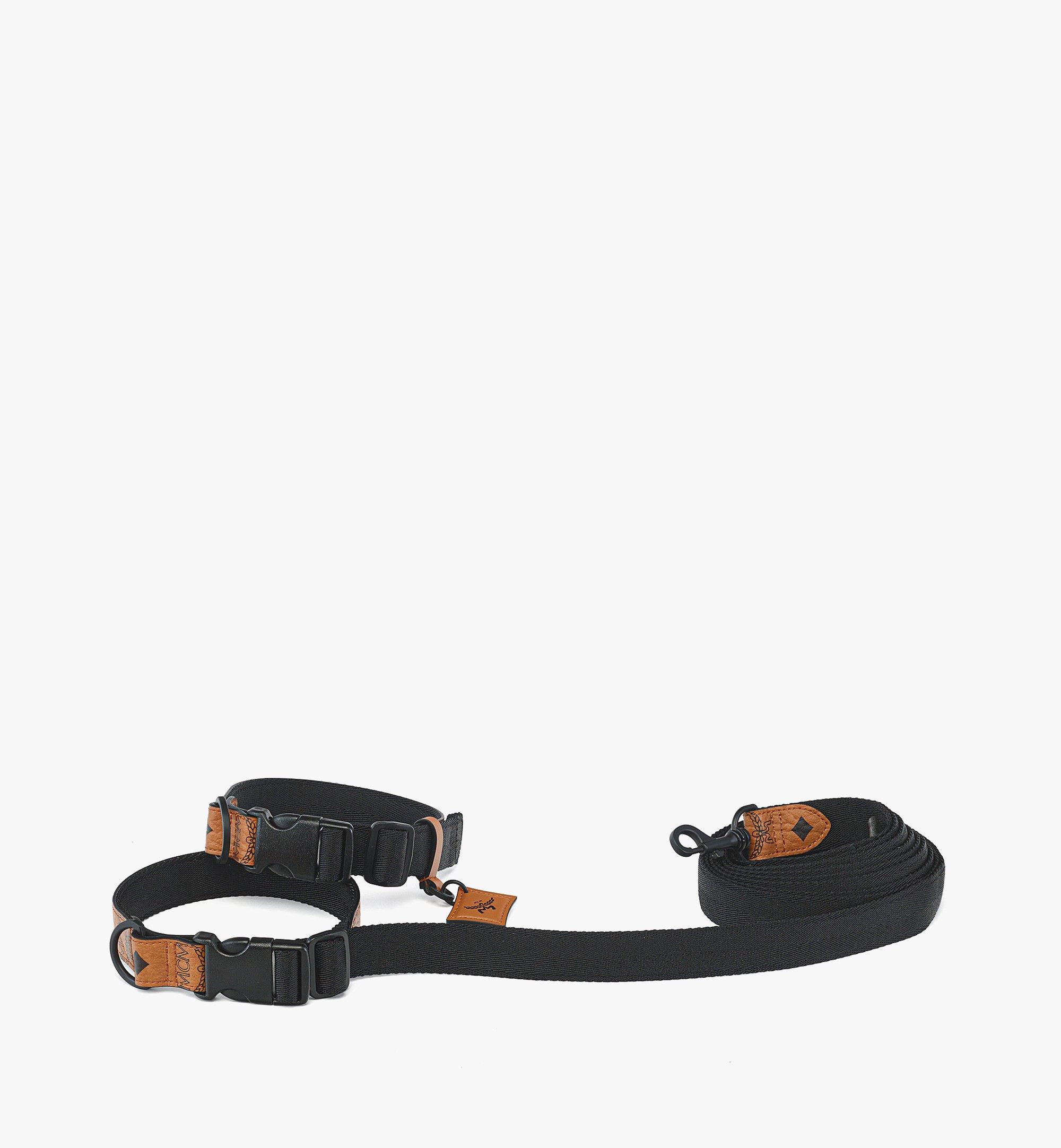 Pet Collar and Leash in Visetos