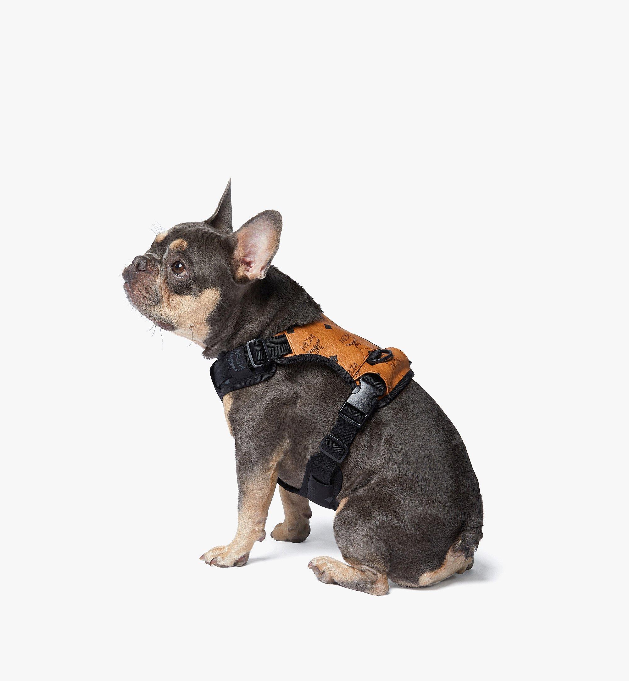 MCM Pet Harness in Visetos Cognac MEZFAMM02CO001 มุมมองอื่น 2