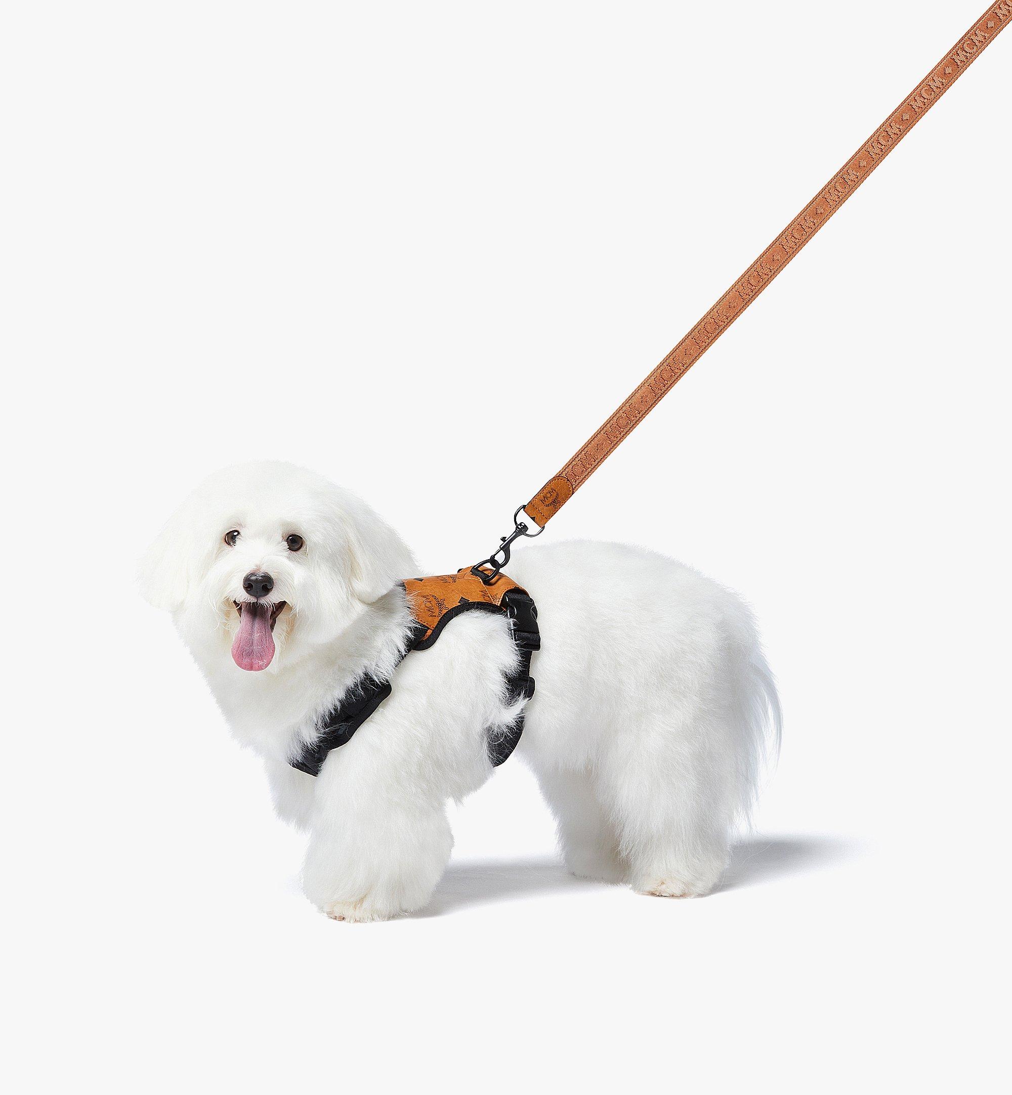 Pet Harness in Visetos
