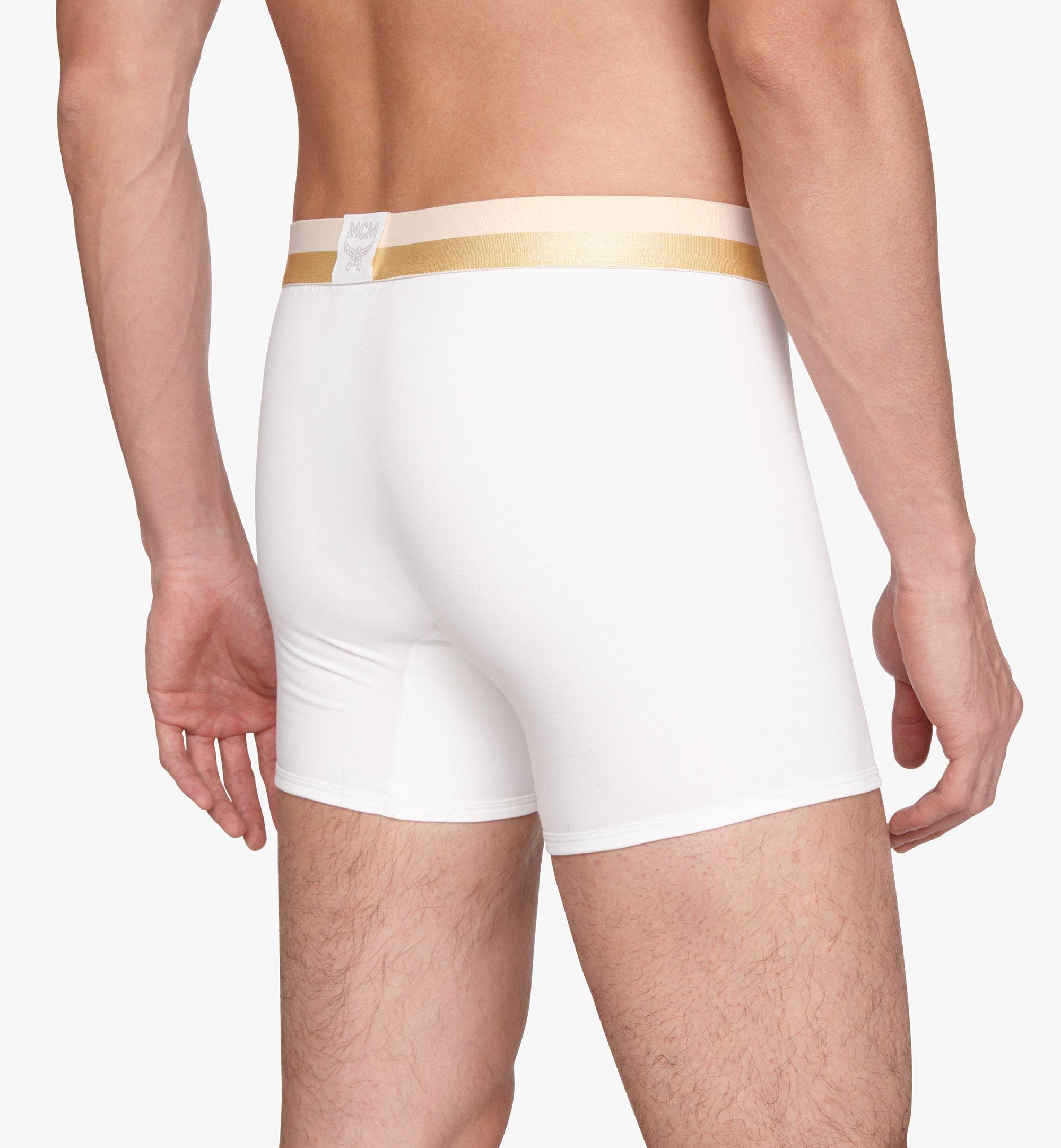 long boxer briefs