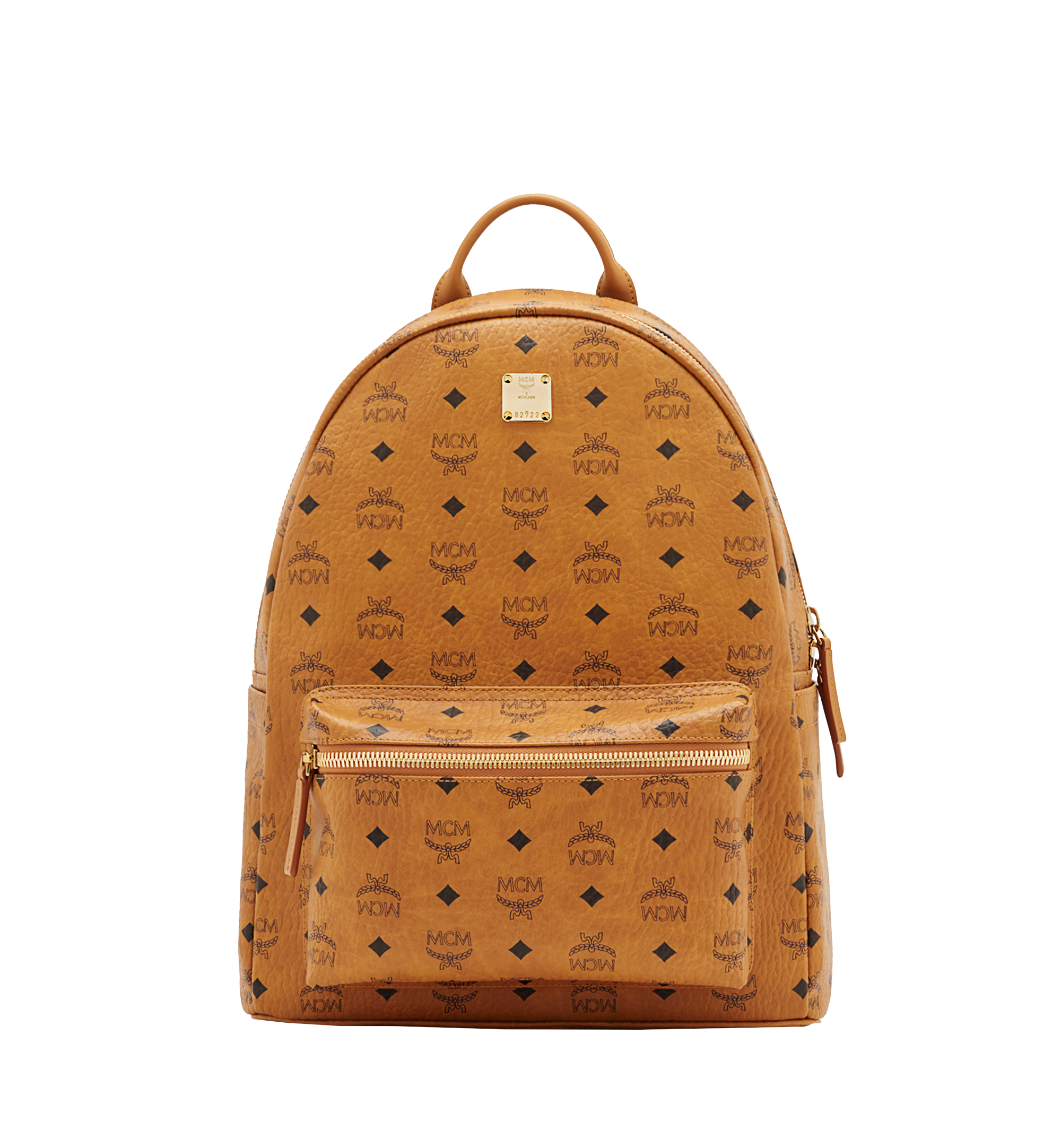 Mcm knapsack 2025