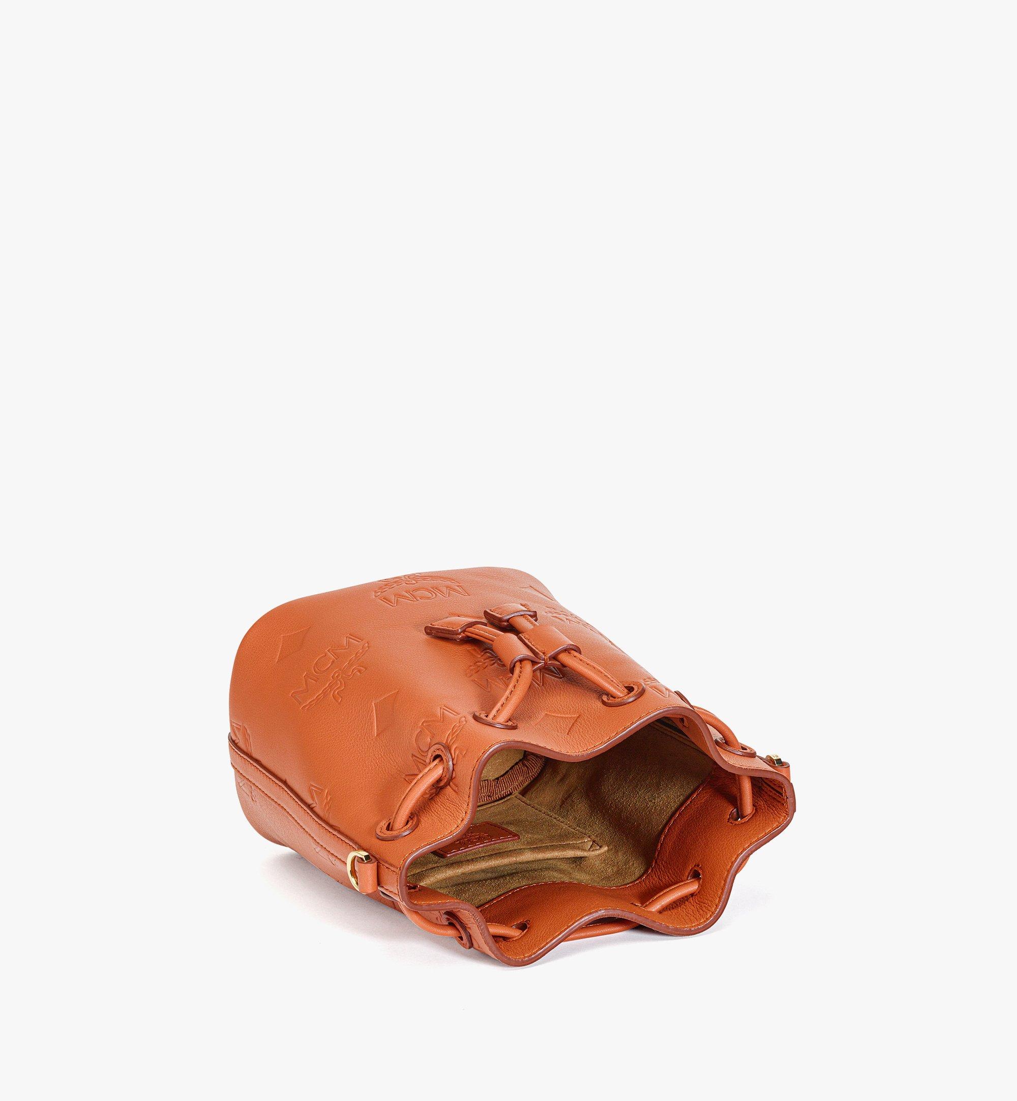 Dessau Drawstring In Embossed Monogram Leather